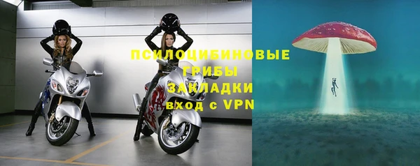 мяу мяу мука Краснотурьинск