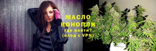 тгк Михайлов