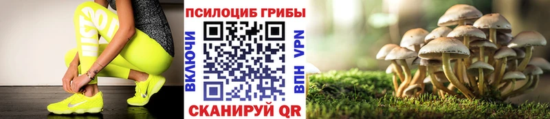 Псилоцибиновые грибы Psilocybe  Ростов 
