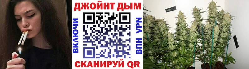 Шишки марихуана планчик  KRAKEN ссылки  Ростов  где купить наркотик 